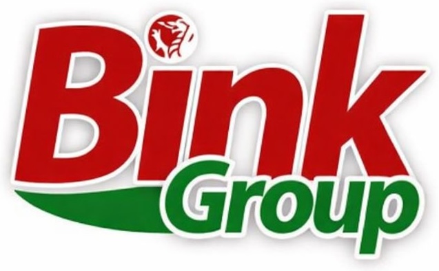 Bink Group Ltd